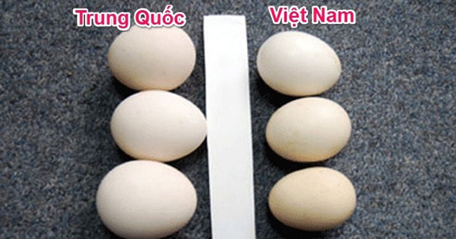 Cách phân biệt trứng gà ta, trứng gà Trung Quốc đơn giản nhưng không phải bà nội trợ nào cũng biết